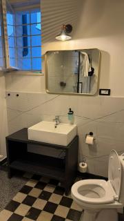 Villa Wagner - Modern Heritage City House in Cluj Center - 6