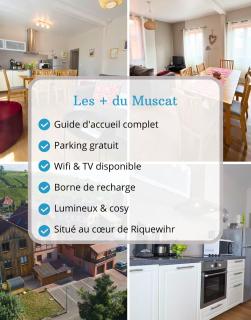 MUSCAT - Bel appartement rénové récemment - au pied du vignoble - parking gratuit - 9