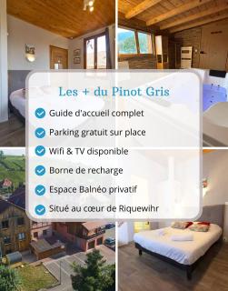 PINOT GRIS - Charmant studio au cœur du vignoble - parking gratuit - 6