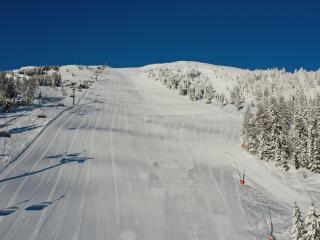 Apartment Katschberg 16 by Interhome - 6