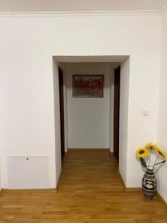 Зоряне сяйво - 4