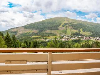 Apartment Katschberg 23 by Interhome - 3