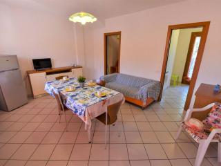Apartment Solmare-56 by Interhome - 1