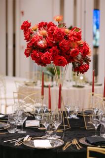 Radisson Blu Hotel, Cluj - 8