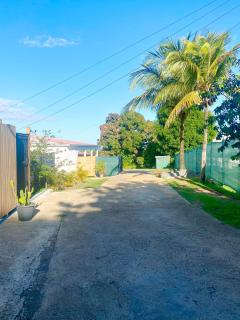 Emeraude tropicale - 8