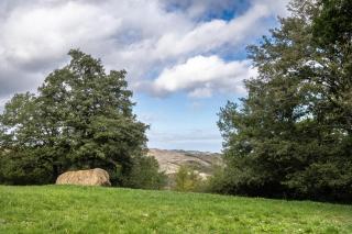 Appartamento Colline - 1