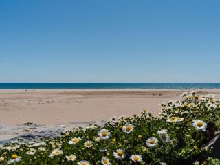 Appartement T2 en front de mer avec balcon à Narbonne Plage - FR-1-409-263 - 6