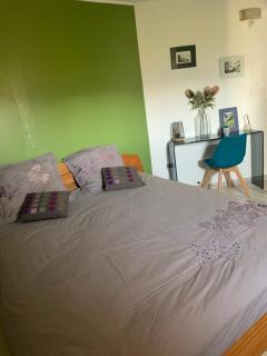 T2 au calme montagne et lac - 4