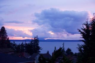 Saltwater Shoreline - 9