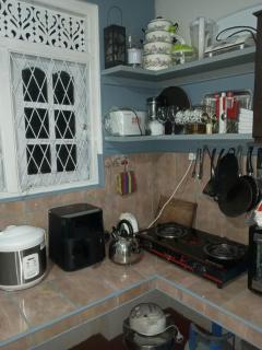 House of NALIN, a paradise for Birds - 2