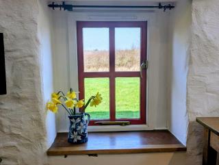 Ty Gwennol St Davids - 1