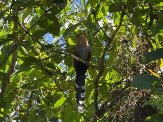 Cabaña del Lago - 7