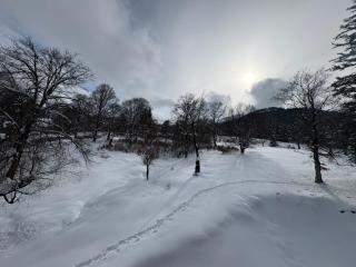 Bakuriani Valley 14 - 5