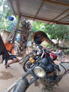 Casa de MaMa Bertha y Papacho - 4