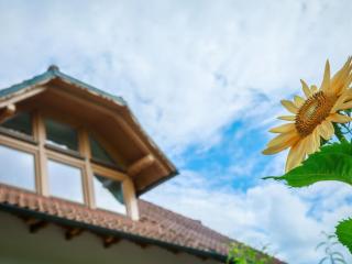 Apartment VILLA KATARINA by Interhome - 6