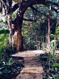 Tiny house Papaya near Tamarindo - 2