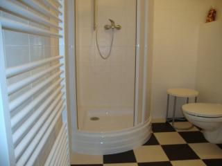 Apartment in Bohemian with Shared Pool - Pecka - 1