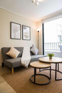 Stylish 2BR Apt in Santiago for 5 Gym Access - 4