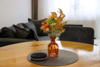 Apartment VIP - 6