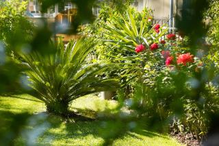 Le Rose MWC Suites - Riviera Collection - 2