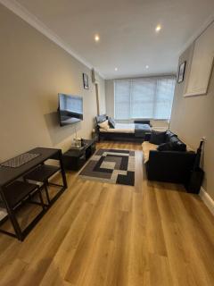 Sleek studio apartment in Shoreditch - 0