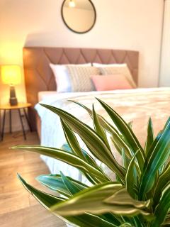 Apartament A21 near Airport Chopin by Real Apartment - 7