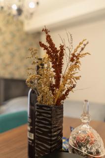 Zlatibor Afrodita 5 - 1