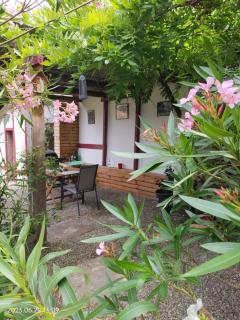 La Cave à Julie - 4