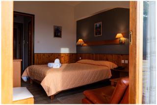 Milionis Forest Hotel - 1