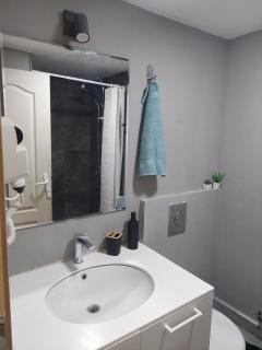 Srna apartmani - 2