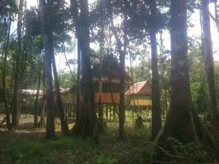 Iquitos Adventure House - 9