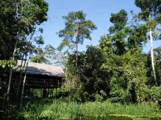 Iquitos View Lodge - 9