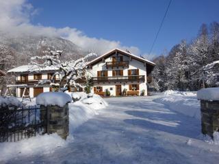 Ferienwohnungen Auhaus - 9