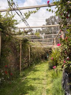 Casa de campo- huancayo - 9