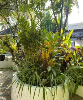 Siargao Residency by Privacy Group - General Luna - 5