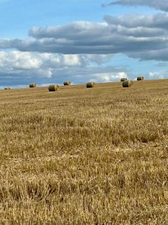 Ferienwohnung absalonart kunstvoll wohnen - 6