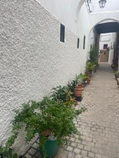 Mima house - 8