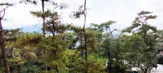 Cozy 1 BR Unit Condo near Wright Park, Wifi and Parking - 4