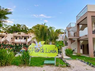 Tropical 2nd floor Condo with Rooftop - 4