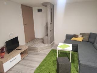 Srna apartman - Čačak - 0