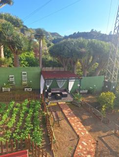 Finca Esther - 7