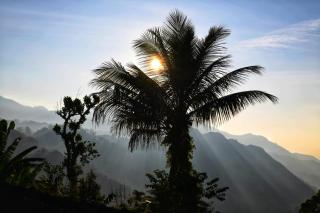 The Blue Crest -Ella - 8