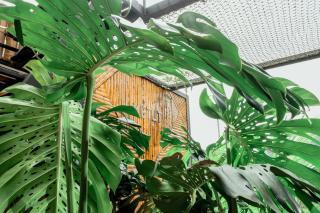 ATTRAVERSIAMO BAMBOO HOUSE - 2