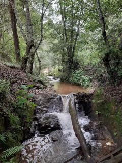 Cabaña Rio Bonito - 0