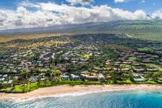 Palms at Wailea - 3