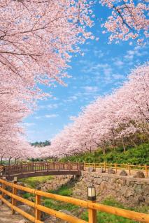 스무스브릭 Panoramic tangerine field view private villa, year round heated kids pool, BBQ, center of Seogwipo, Maeil Olle Market 5 minutes, near Jungmun Tourist Complex - 3