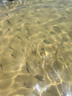 Apartamento com vista para o lago - Praia do Forte - 1