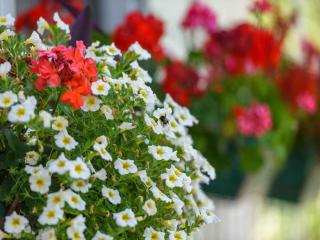 Studio Beachfront in Trogir 54815 - 3