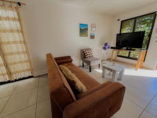 House with Pool, Lake, Pet Friendly in Guadalajara - 4
