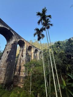 Ninearch Golden Cabana - 7